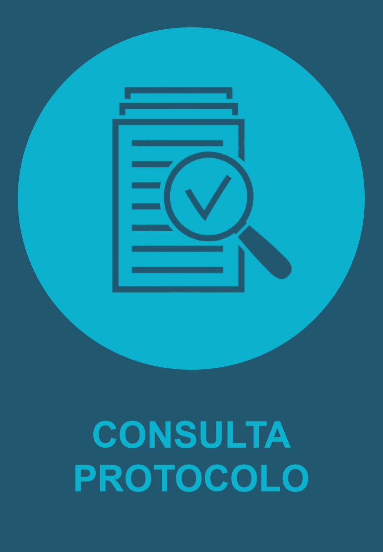 CONSULTA PROTOCOLOS-1